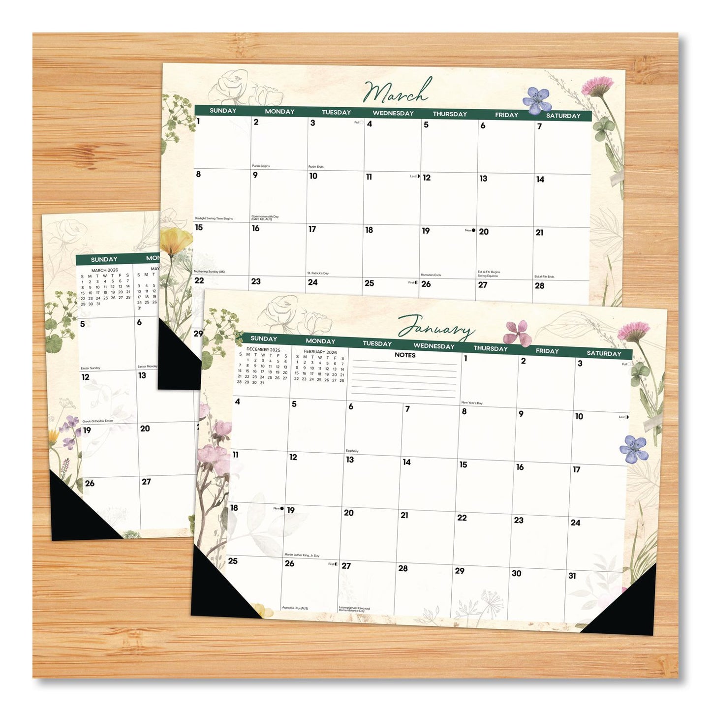 Willow Creek Press Botanical Garden Monthly Desk Pad Calendar, 17 x 12, Cream/Multicolor Sheets, Black Headband/Corners, 12-Month (Jan-Dec) 2026 (WPR57094)