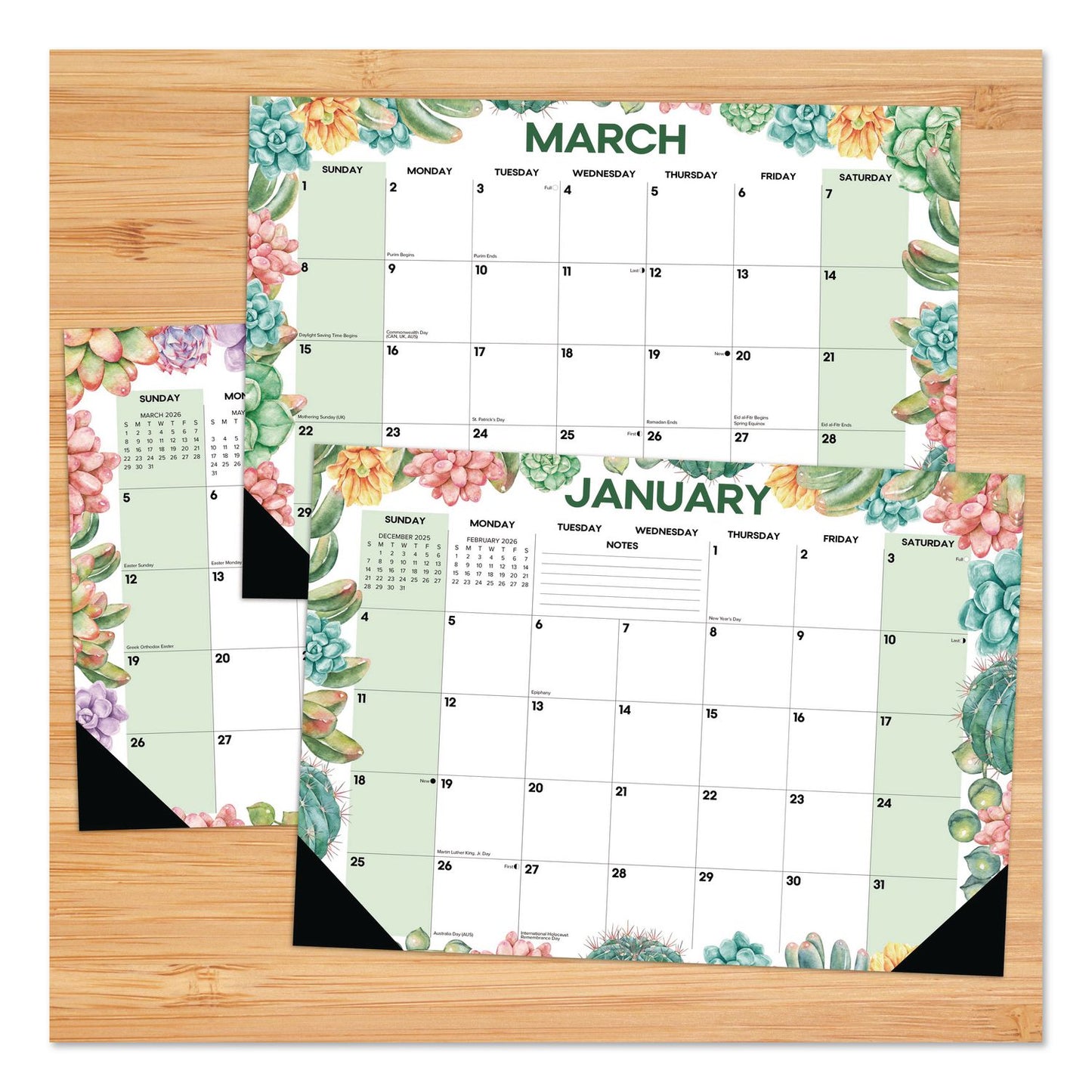 Willow Creek Press Succulents Small Monthly Desk Pad Calendar, 17 x 12, White Sheets, Black Headband/Corners, 12-Month (Jan to Dec): 2026 (WPR57162)