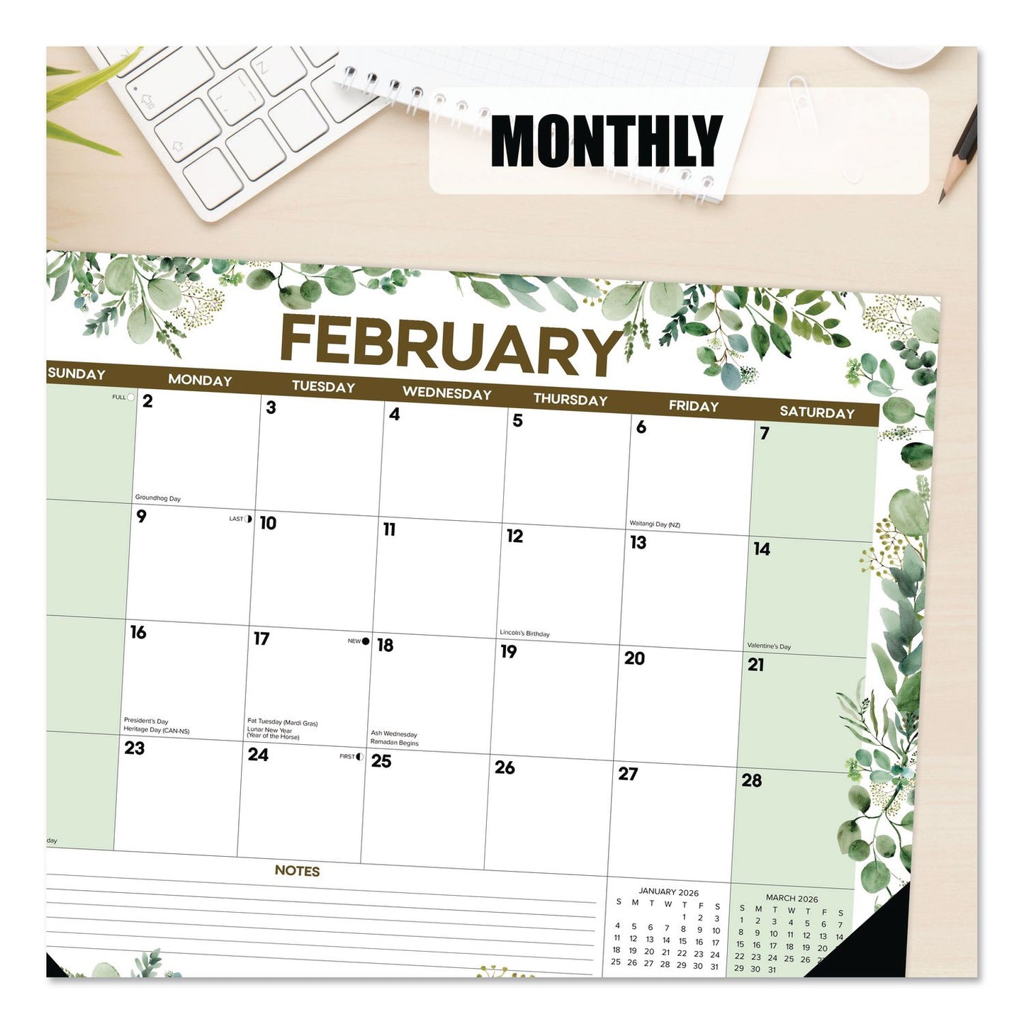 Willow Creek Press Eucalyptus Large Monthly Desk Pad Calendar, 22 x 17, White/Green Sheets, Black Headband/Corners, 12-Month (Jan to Dec) 2026 (WPR57223)