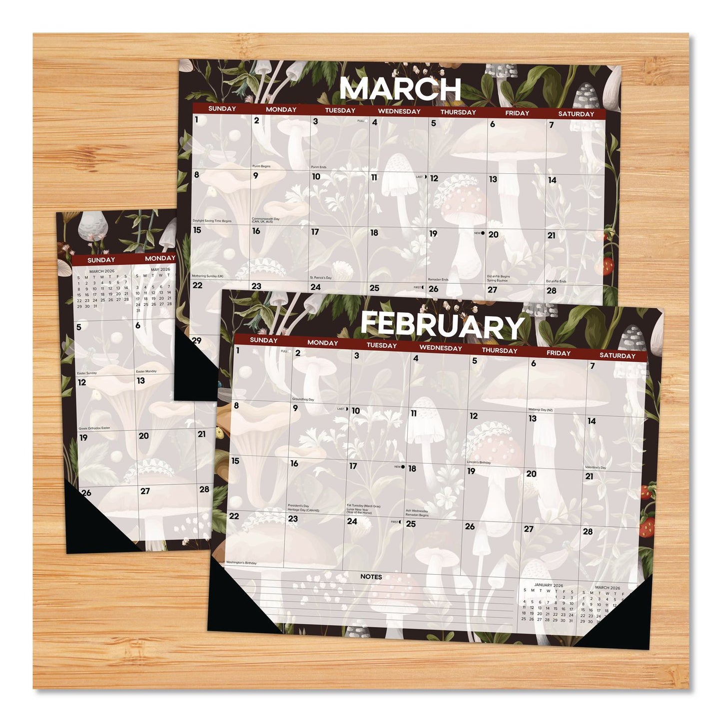 Willow Creek Press Mushrooms Large Monthly Desk Pad Calendar, 22 x 17, Multicolor Sheets, Black Headband/Corners, 12-Month (Jan to Dec) 2026 (WPR57247)