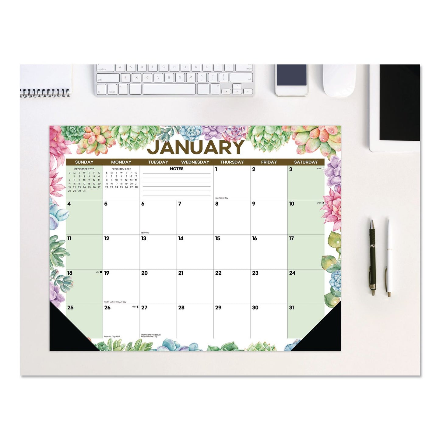 Willow Creek Press Succulents Large Monthly Desk Pad Calendar, 22 x 17, White/Multicolor Sheets, Black Headband/Corners, 12-Month (Jan-Dec) 2026 (WPR57285)