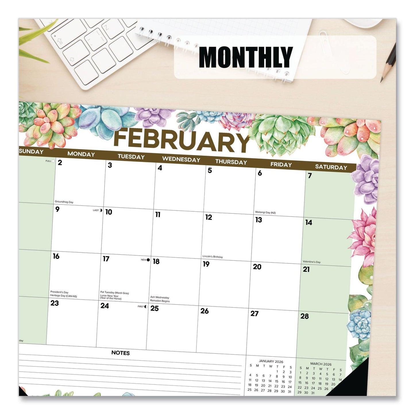 Willow Creek Press Succulents Large Monthly Desk Pad Calendar, 22 x 17, White/Multicolor Sheets, Black Headband/Corners, 12-Month (Jan-Dec) 2026 (WPR57285)