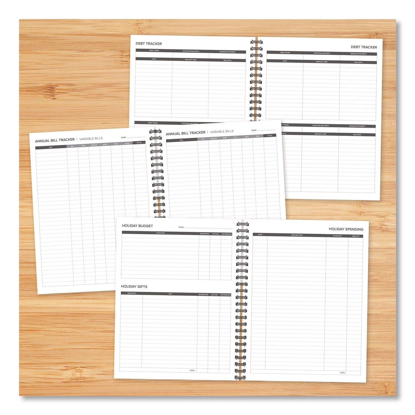Willow Creek Press Budget Monthly Planner, 11 x 8.5, Black Cover, 12-Month, Undated (WPR40324)