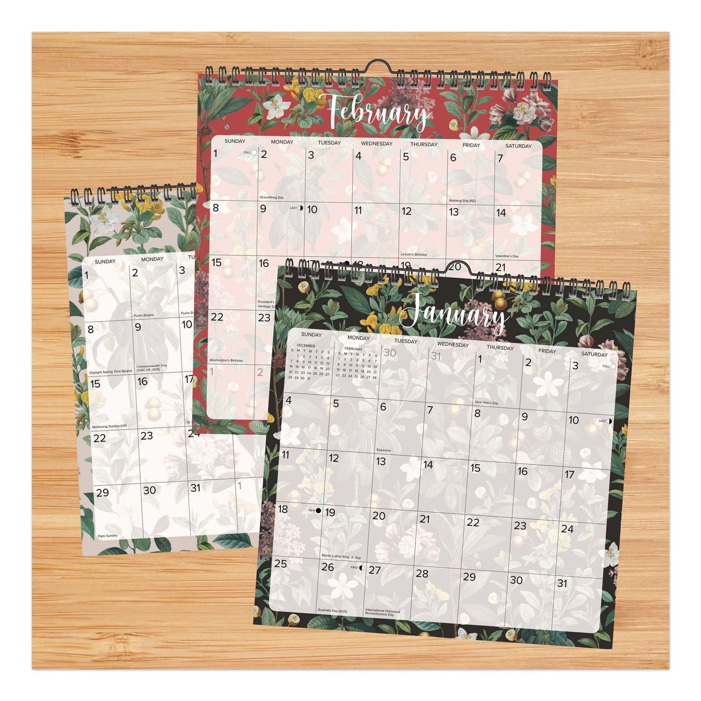 Willow Creek Press Botanical Nature 2026 Spiral Wall Calendar, Botanic Artwork, 12 x 12, Multicolor Sheets, 12-Month (Jan to Dec): 2026 (WPR54727)