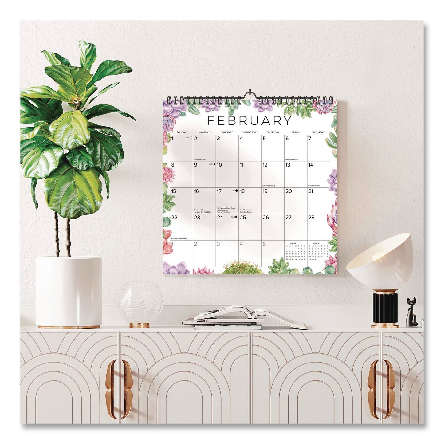 Willow Creek Press Succulents 2026 Spiral Wall Calendar, Succulents Artwork, 12 x 12, Multicolor Sheets, 12-Month (Jan to Dec): 2026 (WPR54765)