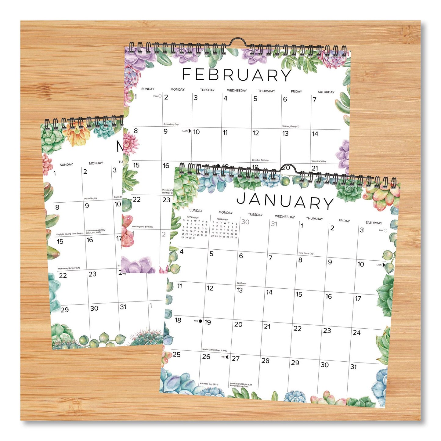 Willow Creek Press Succulents 2026 Spiral Wall Calendar, Succulents Artwork, 12 x 12, Multicolor Sheets, 12-Month (Jan to Dec): 2026 (WPR54765)