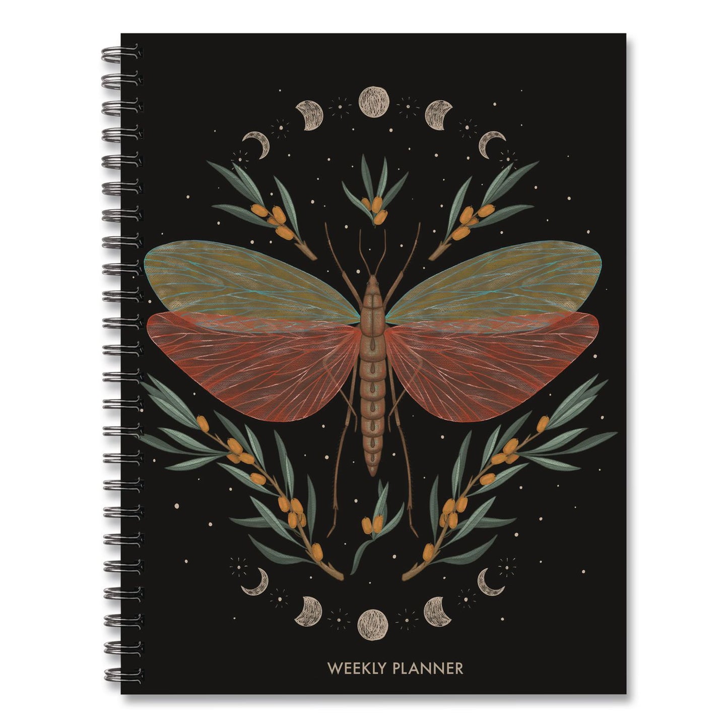 Willow Creek Press Butterfly Zen Weekly/Monthly Planner, 8.5 x 6.5, Black Cover, 12-Month (Jan to Dec): 2026 (WPR57506)