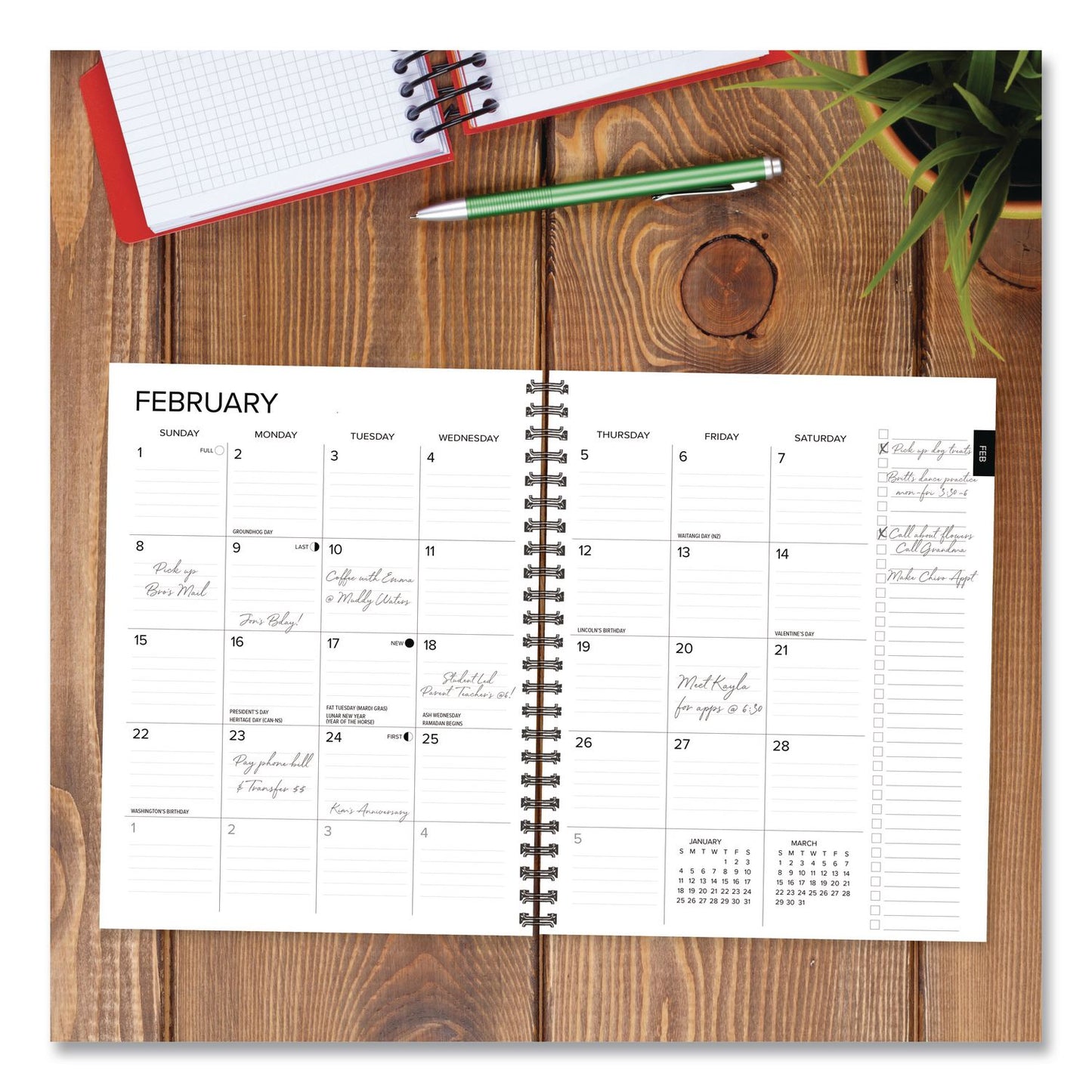 Willow Creek Press Basic Blue Weekly/Monthly Planner, 8.5 x 6.5, Blue Cover, 12-Month (Jan to Dec): 2026 (WPR57834)