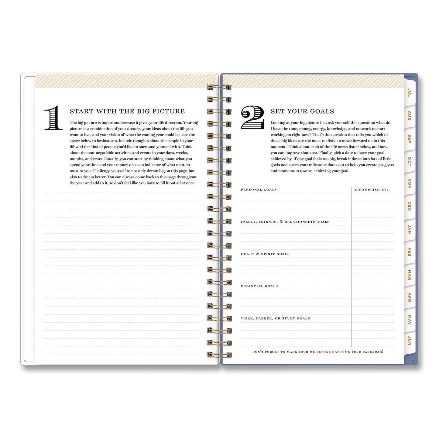 Blue Sky® Day Designer Climbing Floral Blush Create-Your-Own Cover Weekly/Monthly Planner, 8 x 5, 12-Month: July 2025 to June 2026 (BLS137881A26)