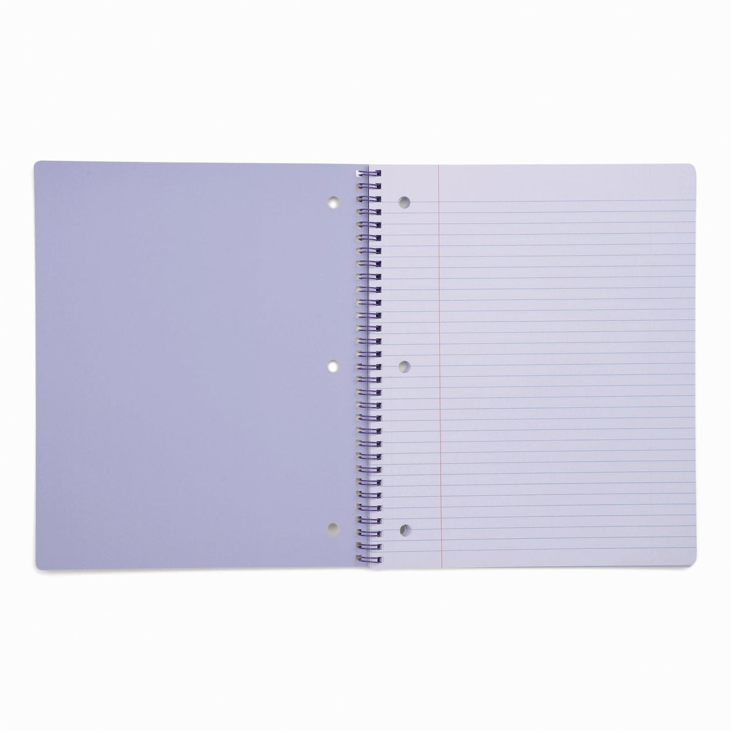 DesignWorks Ink® Twin-Wire Notebook, Randomly Assorted Pastel Marble Cover Designs, 1-Subject, Medium/College Rule, (80) 10.5 x 8.5 Sheets (DWOTTWSA115ST)