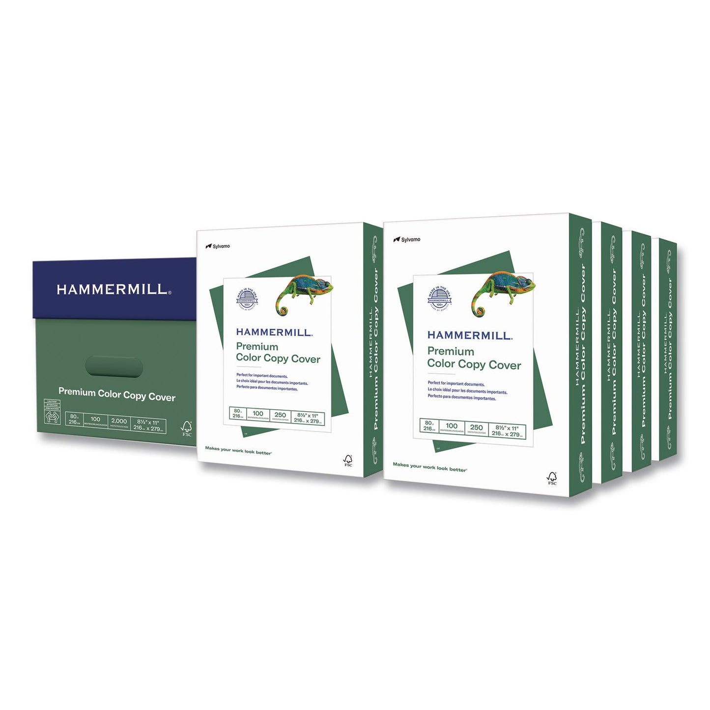 Hammermill® Premium Color Copy Cover, 100 Bright, 80 lb Cover Weight, 8.5 x 11, Photo White, 250 Sheets/Ream, 8 Reams/Carton (HAM120023CT)