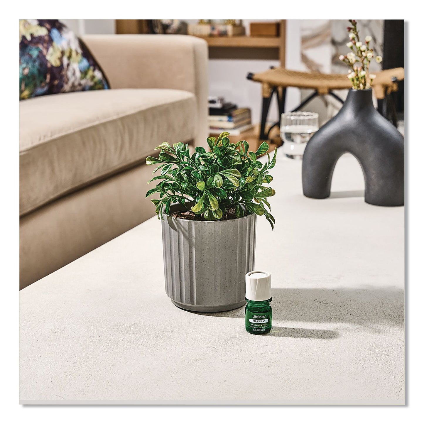 Lifelines® Evaporative Aromatherapy Essential Oil Boxwood Plant Diffuser with Fir Needle/Pine Essential Oil, 6.2 x 6.2 x 9.5, Gray/Green (LLN111611)