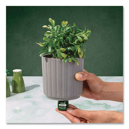 Lifelines® Evaporative Aromatherapy Essential Oil Boxwood Plant Diffuser with Fir Needle/Pine Essential Oil, 6.2 x 6.2 x 9.5, Gray/Green (LLN111611)