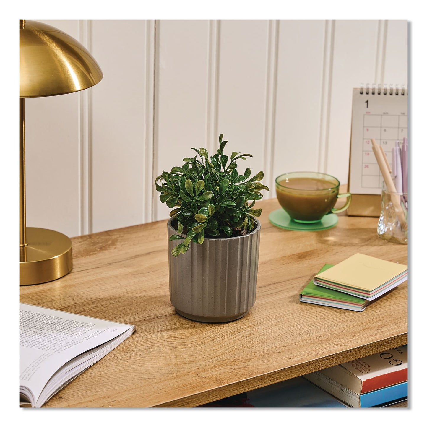 Lifelines® Evaporative Aromatherapy Essential Oil Boxwood Plant Diffuser with Fir Needle/Pine Essential Oil, 6.2 x 6.2 x 9.5, Gray/Green (LLN111611)