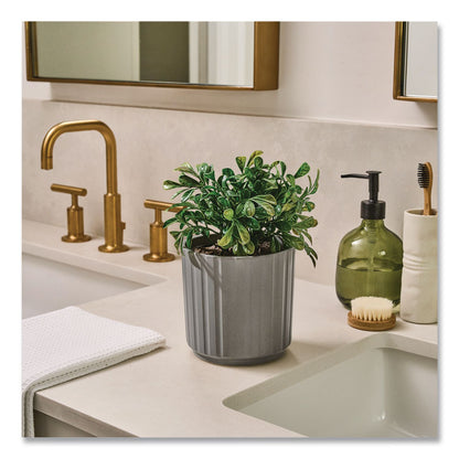 Lifelines® Evaporative Aromatherapy Essential Oil Boxwood Plant Diffuser with Fir Needle/Pine Essential Oil, 6.2 x 6.2 x 9.5, Gray/Green (LLN111611)