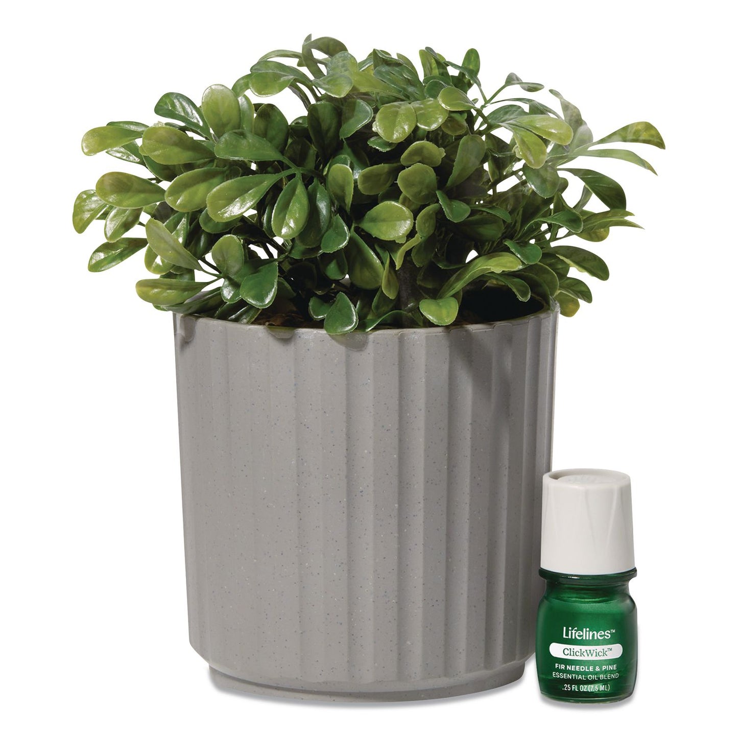 Lifelines® Evaporative Aromatherapy Essential Oil Boxwood Plant Diffuser with Fir Needle/Pine Essential Oil, 6.2 x 6.2 x 9.5, Gray/Green (LLN111611)