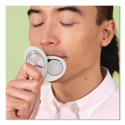 Lifelines® Essential Oil Meditative Grounding Stones and Crisp Mountain Air Essential Oil, Gray, 2/Pack (LLN114502)