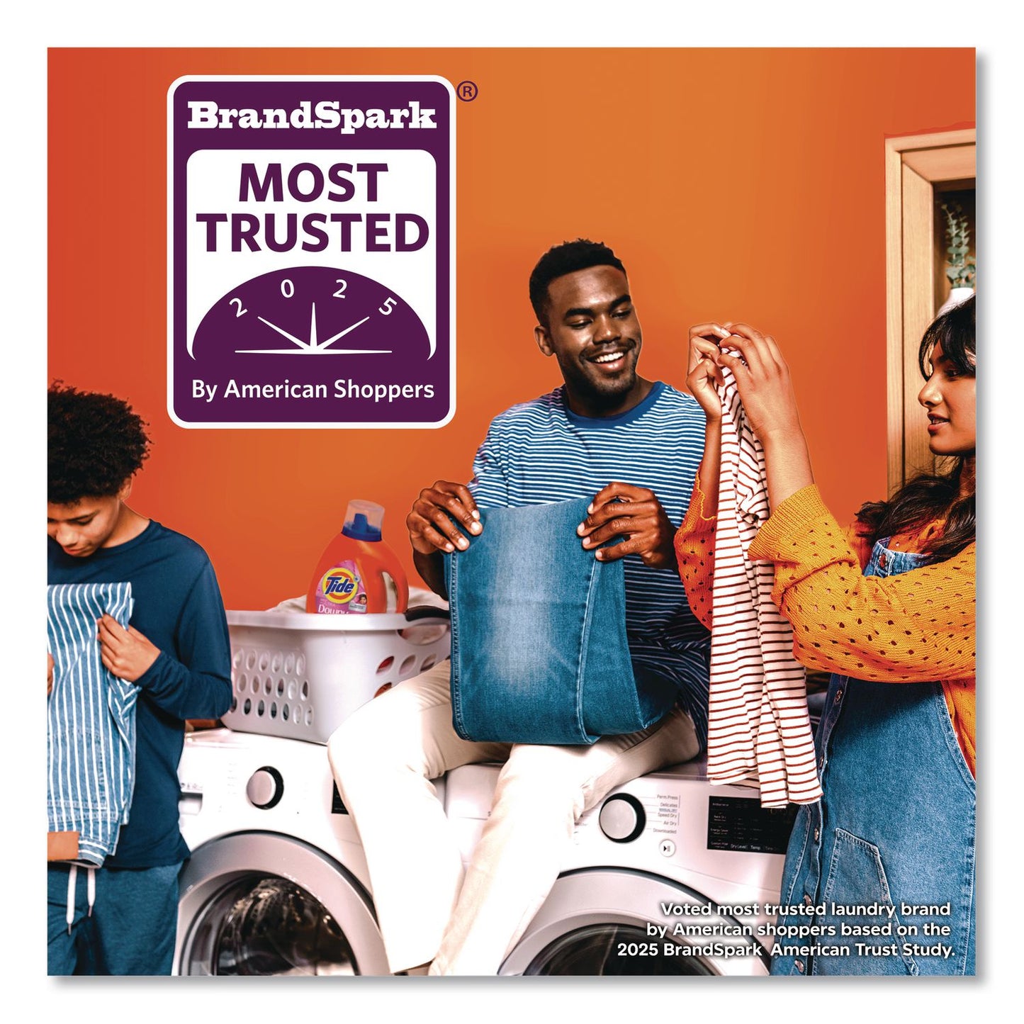 Tide® Plus Boost of Ultra Downy Laundry Detergent, HE Compatible, April Fresh Scent, 73 oz Bottle (PGC17523)