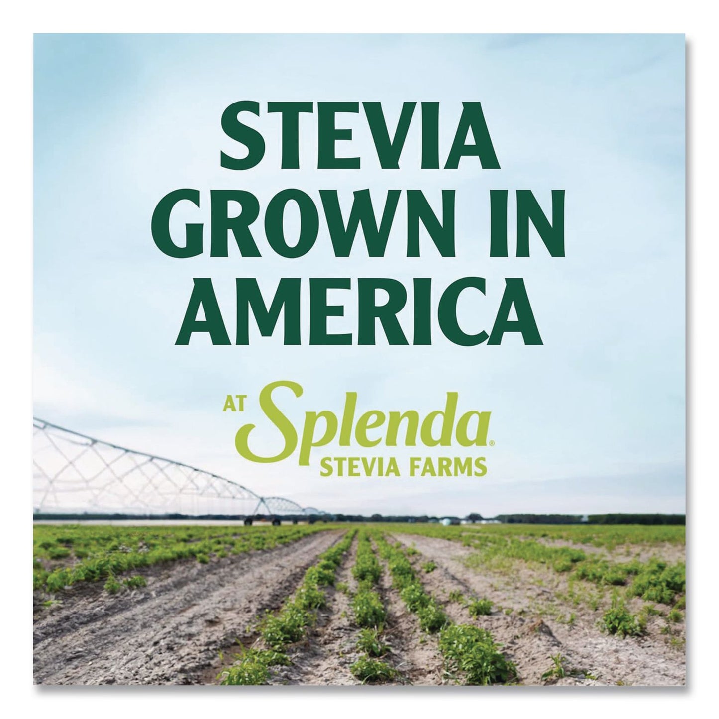 Splenda® Stevia Sweetener Packet, 0.04 oz, 400/Box (SNHHFP00613)