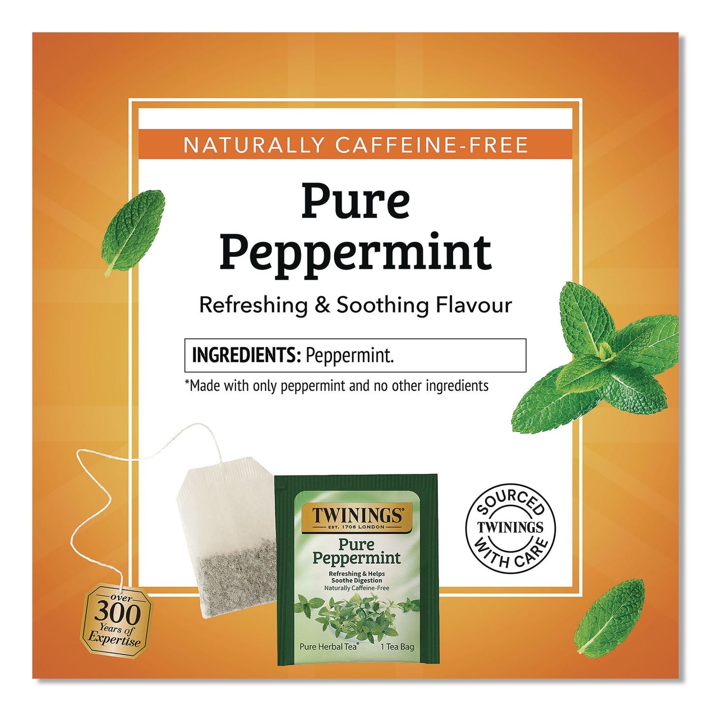 TWININGS® Tea Bags, Pure Peppermint, 0.07 oz Tea Bag, 50/Box (TWGTNA53650)