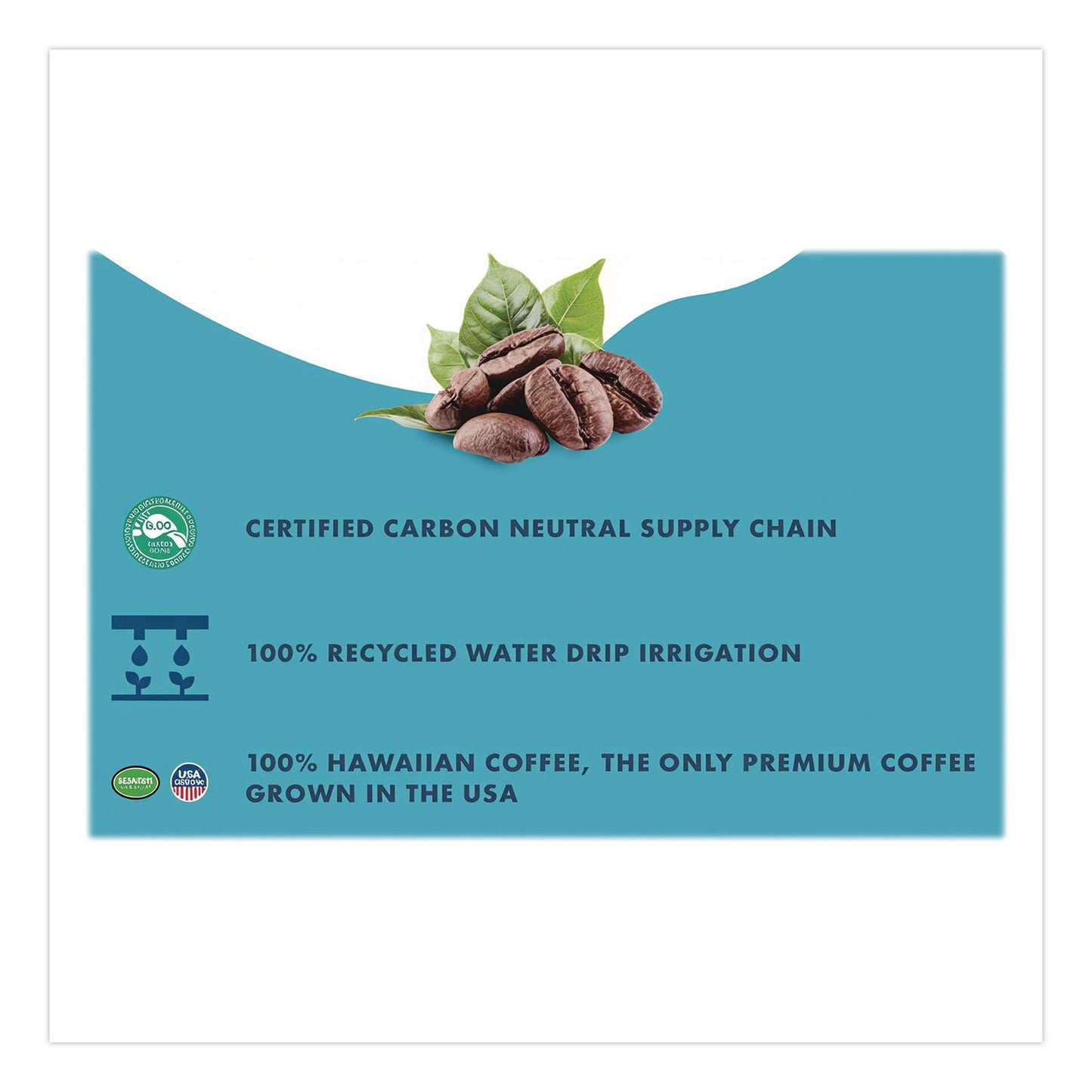 Waiakea® Hawaiian Volcanic Cold Brew Coffee, Polynesian Vanilla, 11 oz Can, 12/Carton (WAINOV00610)