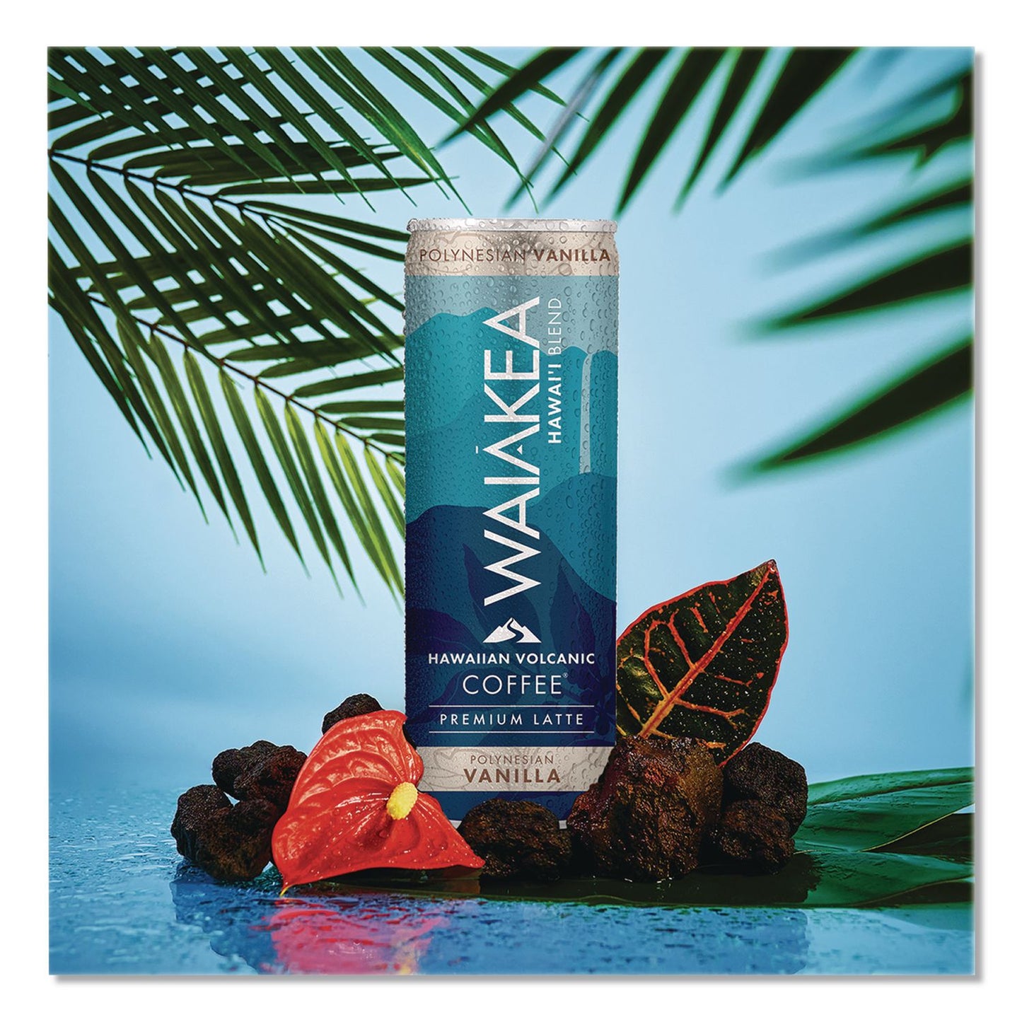 Waiakea® Hawaiian Volcanic Cold Brew Coffee, Polynesian Vanilla, 11 oz Can, 12/Carton (WAINOV00610)