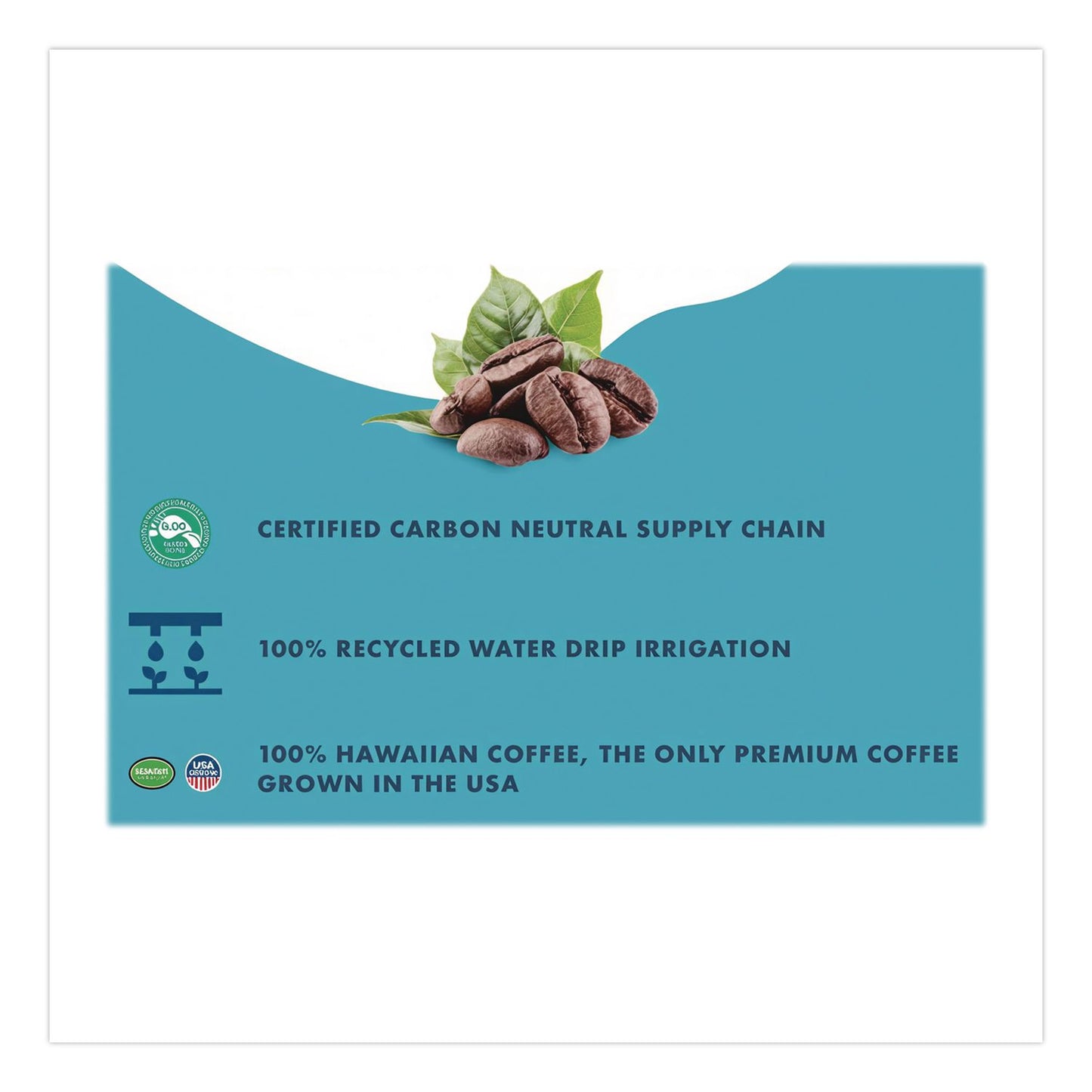 Waiakea® Hawaiian Volcanic Cold Brew Coffee, Mauna Mocha, 11 oz Can, 12/Carton (WAINOV00627)