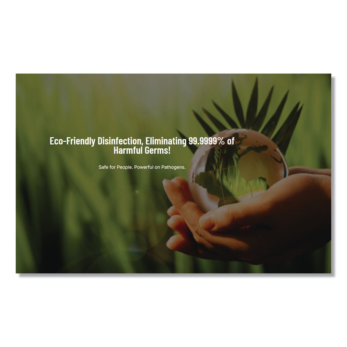 Atmosphere Empty Spray Bottle, 32 oz, Clear, 12/Carton (BIGB3PATMSB12)