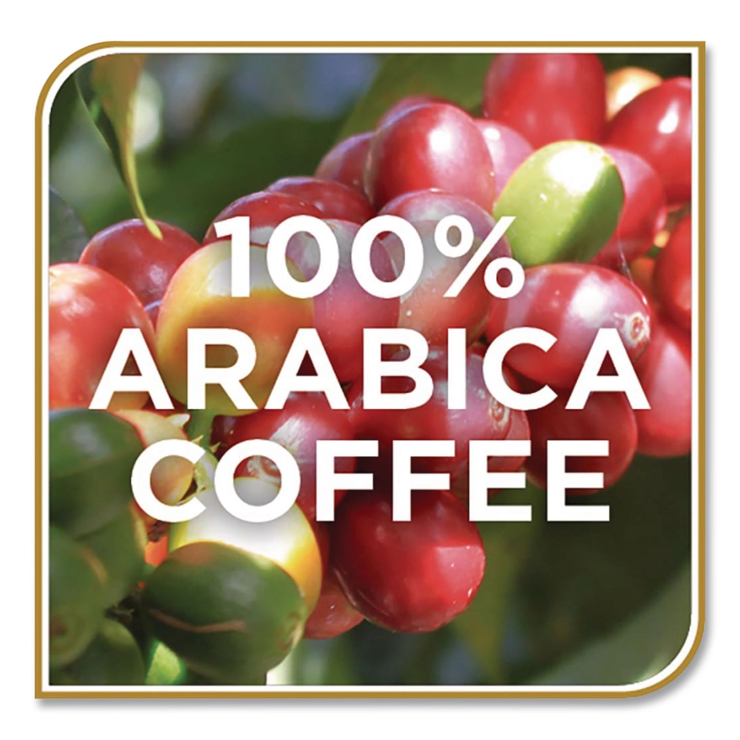 Don Francisco's Coffee Columbia Supremo Coffee Soft Pods, 18/Box (GVNFGS14506)