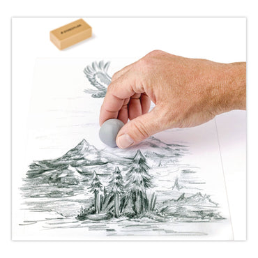 Staedtler® Assorted Art Erasers, For Pencil Marks, Square Block/Rectangular Block, Assorted Colors, 2/Pack (STD525925BK2)