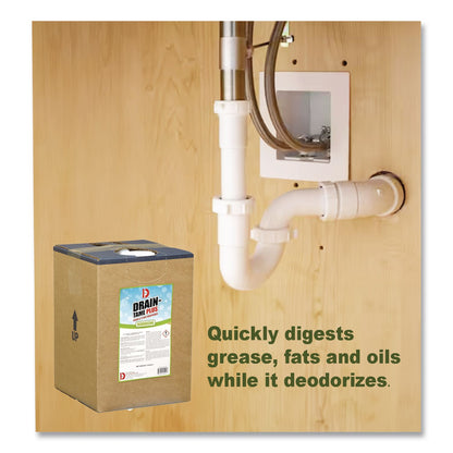 Big D Industries Drain-Tame Plus Digester Deodorant, 5 gal Pail (BGD5501)