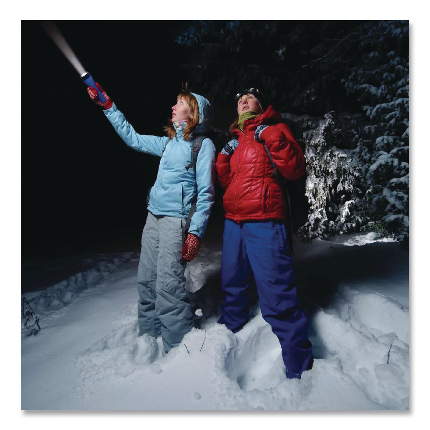 Eveready® LED Economy Flashlight, 2 D Batteries (Included), Red/Blue, 2/Pack (EVEL152SEA)