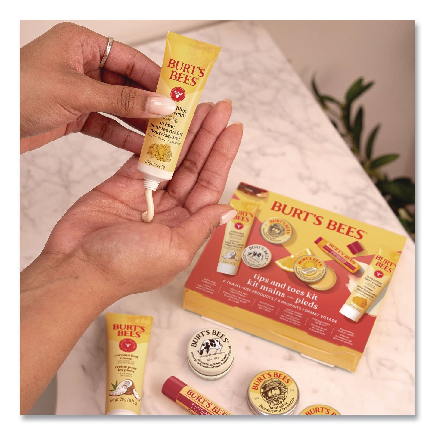 BURT'S BEES Tips and Toes Kit (BBT00912)