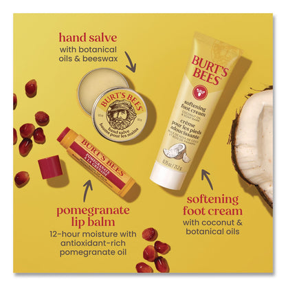 BURT'S BEES Tips and Toes Kit (BBT00912)
