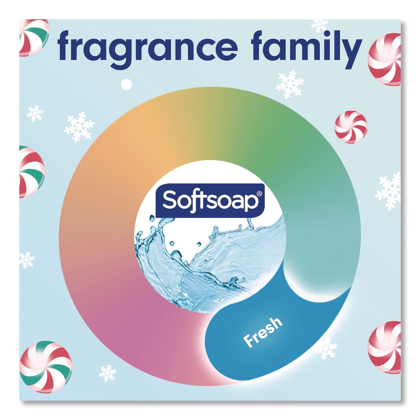 Softsoap® Limited Edition Frosty Mint Liquid Hand Soap, Peppermint Scent, 11 oz Pump Bottle (CPC61023761)