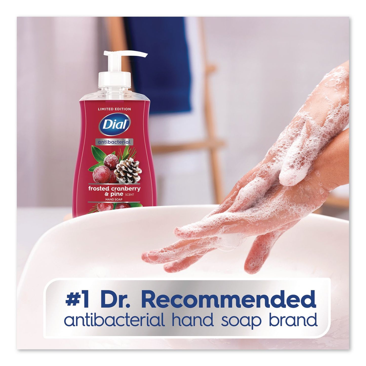 Dial® Antibacterial Liquid Hand Soap, Limited Edition, Frosted Cranberry and Pine Scent, 11 oz Pump Bottle (DIA1700035953)