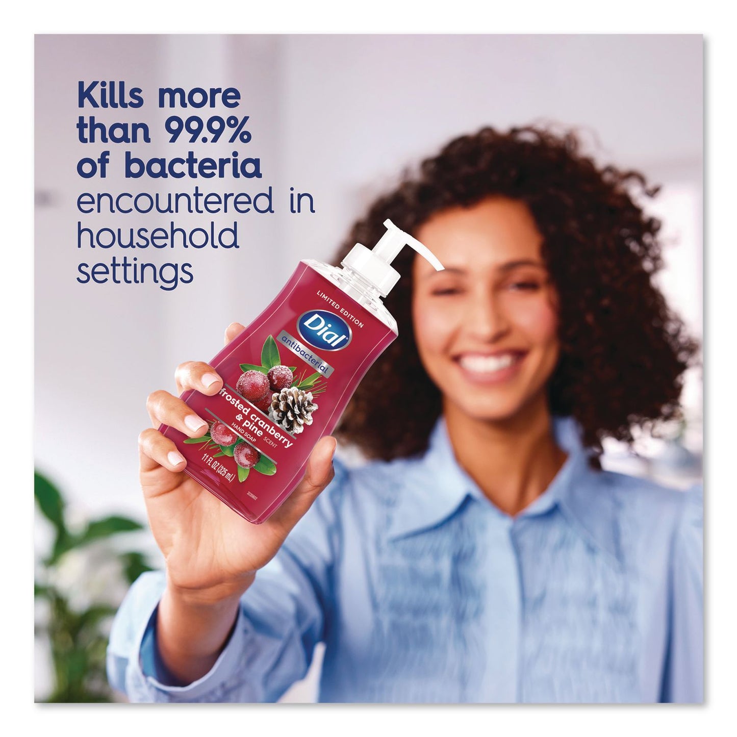 Dial® Antibacterial Liquid Hand Soap, Limited Edition, Frosted Cranberry and Pine Scent, 11 oz Pump Bottle (DIA1700035953)