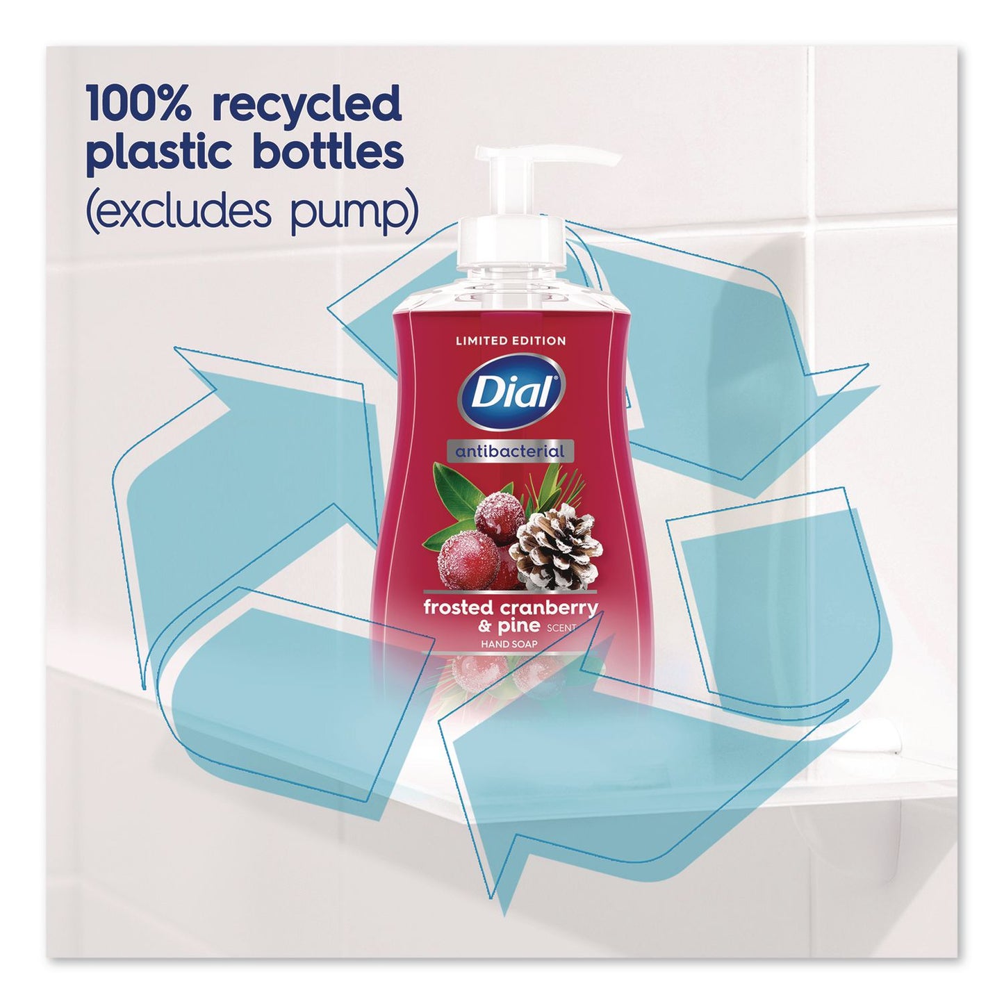Dial® Antibacterial Liquid Hand Soap, Limited Edition, Frosted Cranberry and Pine Scent, 11 oz Pump Bottle (DIA1700035953)