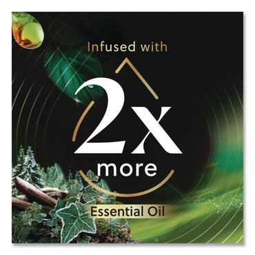 Air Wick® Vibrant Scented Oil Warmer Refill, Limited Edition, Winter Woods and Frosted Ivy, 0.67 oz, 2/Pack (RAC6233803463)