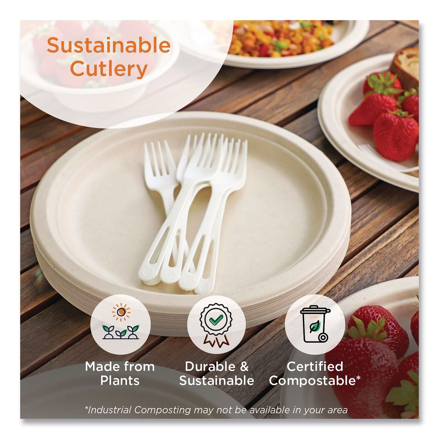 World Centric® TPLA Cutlery, Medium Heavyweight, Knife, Plastic, Light Beige, 24/Pack (WORKNPSR)