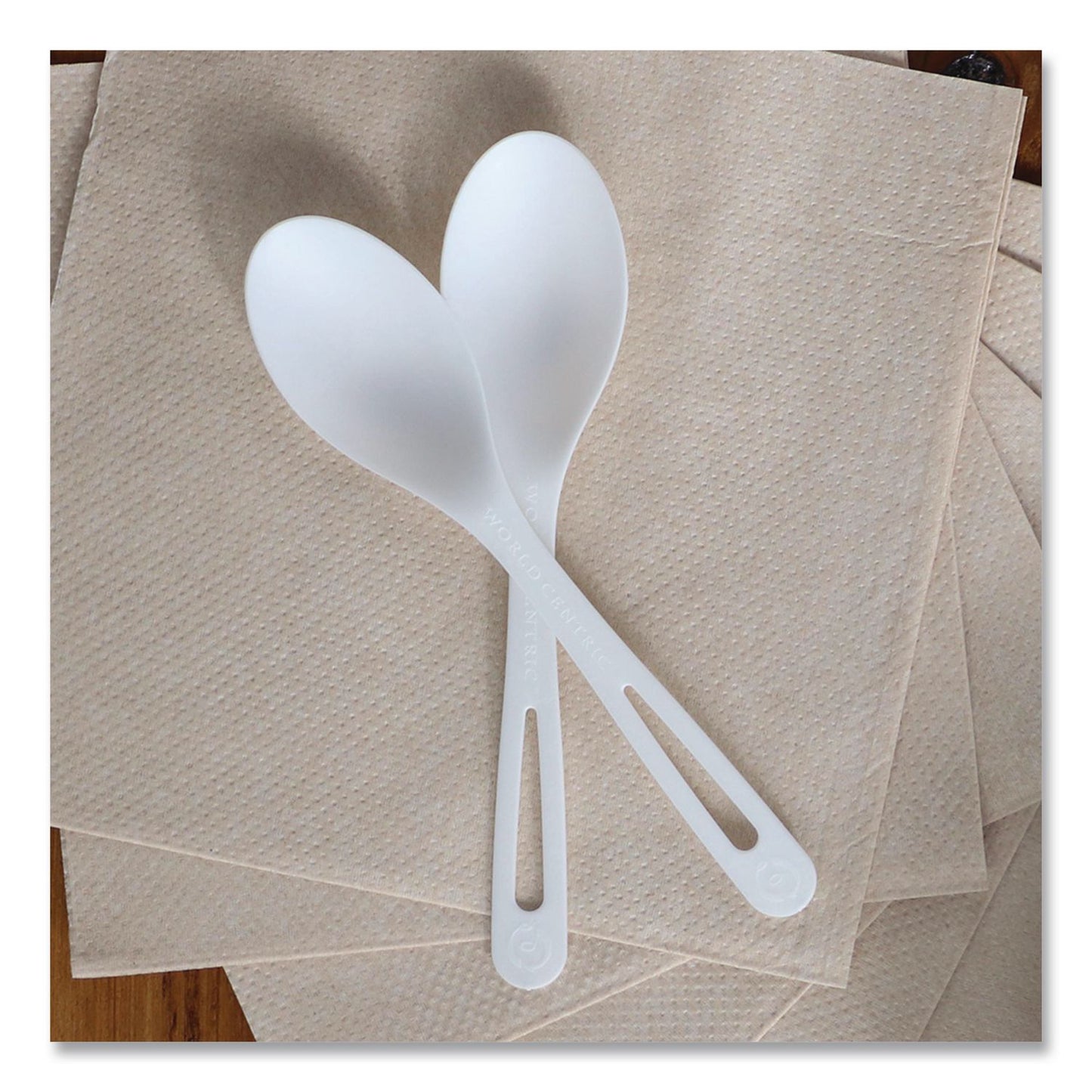 World Centric® TPLA Cutlery, Medium Heavyweight, Spoon, Plastic, Light Beige, 24/Pack (WORSPPSR)
