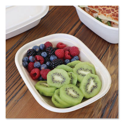 World Centric® Laminated Fiber Containers, 20 oz, 6.7 x 8.7 x 1.7, Natural, Sugarcane Fiber, 400/Carton (WORCTSC20LLF)