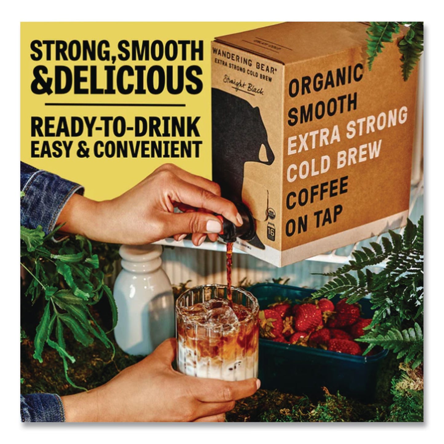 WANDERING BEAR® Caramel Cold Brew Coffee Tap Box, 96 oz, 3/Carton (WBEWBC00748)