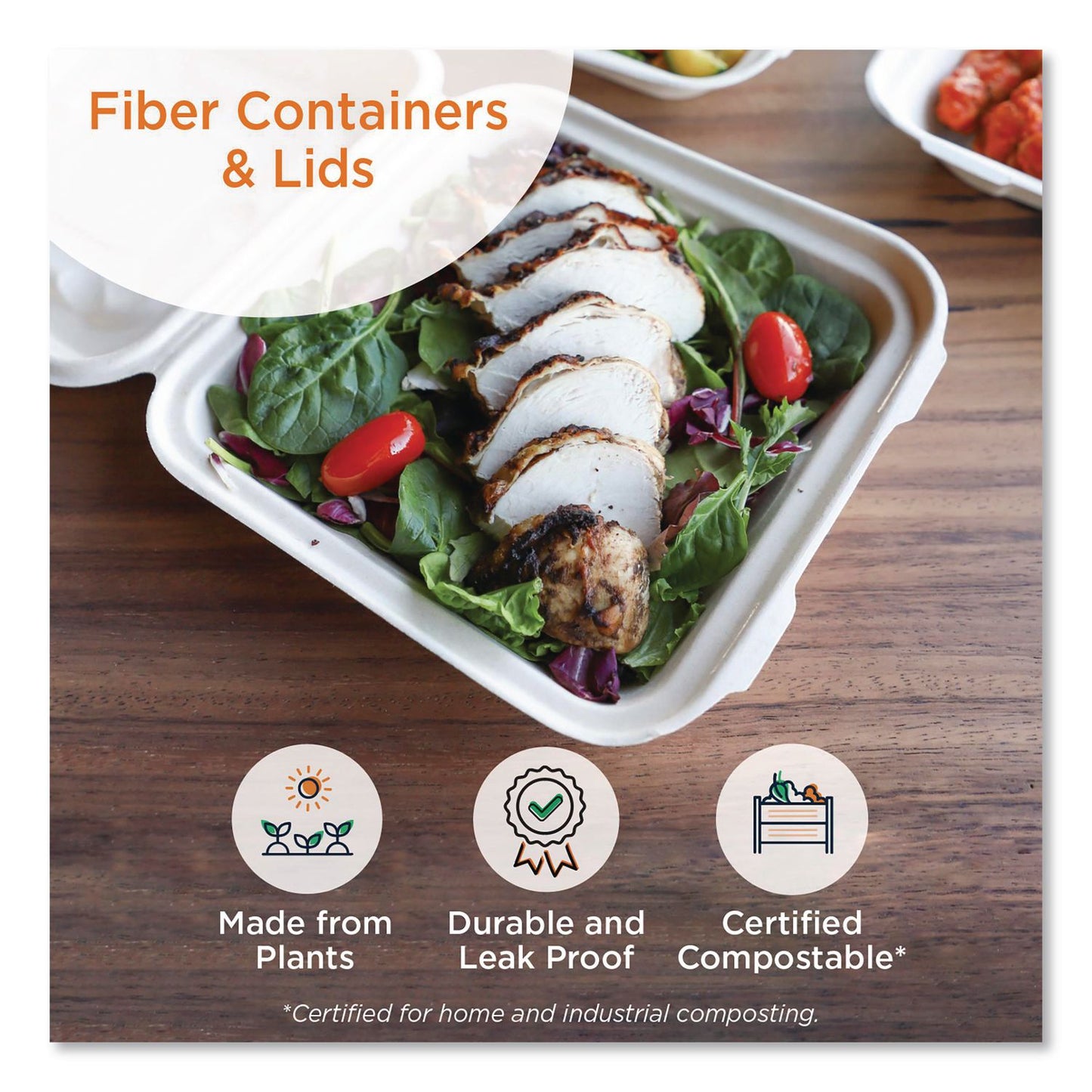 World Centric® Fiber Hinged Takeout Containers, 8.2 x 8.8 x 2.9, Natural, Sugarcane Fiber, 300/Carton (WORTOSCU853LLF)