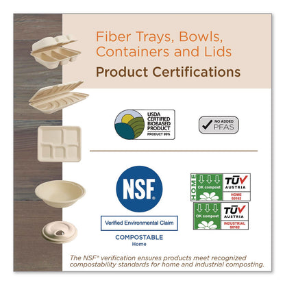 World Centric® Fiber Hinged Takeout Containers, 8.2 x 8.8 x 2.9, Natural, Sugarcane Fiber, 300/Carton (WORTOSCU853LLF)