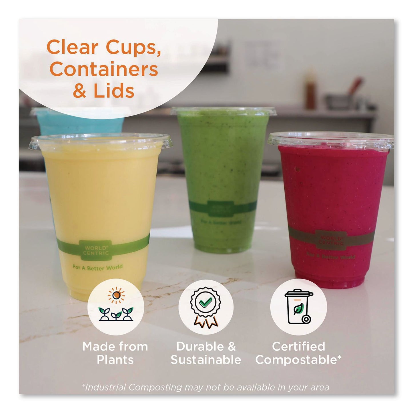 World Centric® PLA Lids for Fiber Containers, 6.3 x 8.2 x 0.5, Clear, Plastic, 400/Carton (WORTRLCS8)