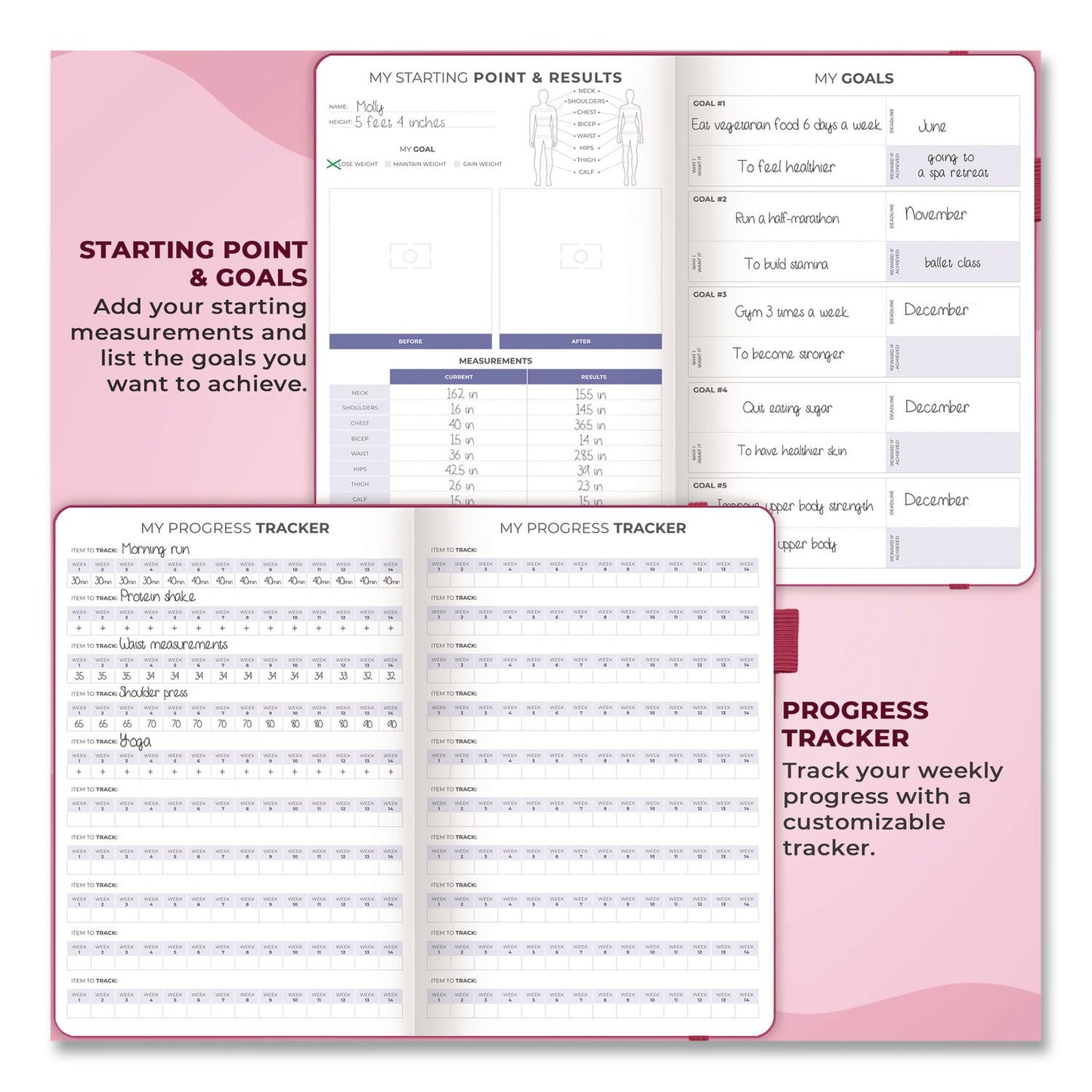 Clever Fox® Fitness and Food Journal, 90-Day Daily/Monthly Format, Engraved Health/Athletics Artwork, Fushia Cover, 8.3 x 5.8 Sheets (LFXCFFNFJFUCH)