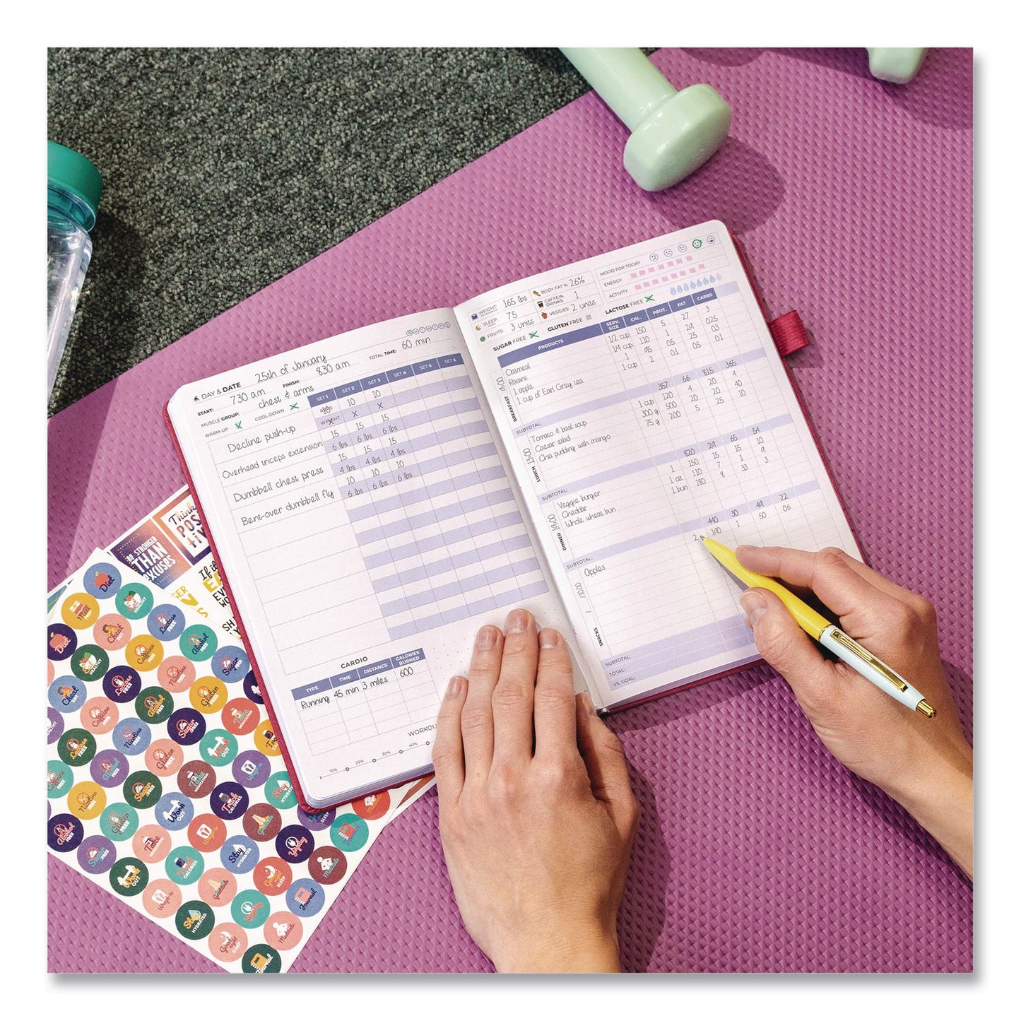 Clever Fox® Fitness and Food Journal, 90-Day Daily/Monthly Format, Engraved Health/Athletics Artwork, Fushia Cover, 8.3 x 5.8 Sheets (LFXCFFNFJFUCH)