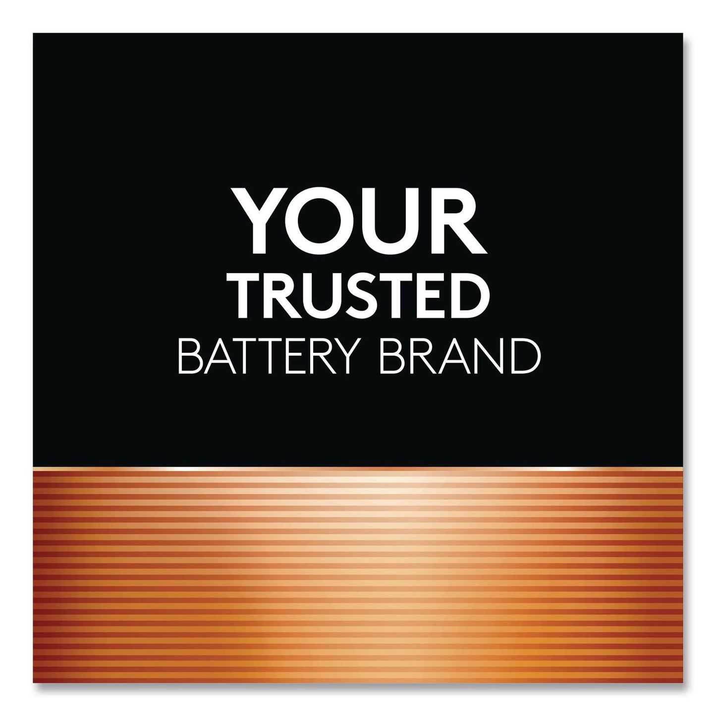Duracell® Lithium Coin Batteries, 1632 (DURDL1632BPK)