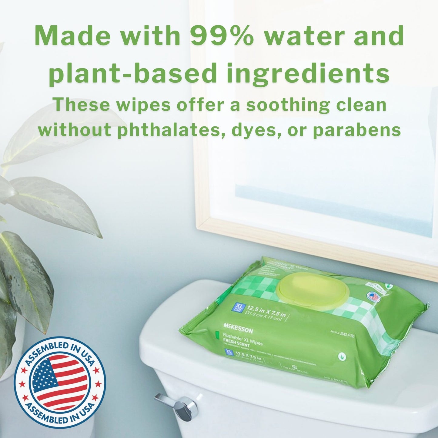 McKesson Flushable Personal Wipe Soft Pack Unscented 48 Count (1241745_PK)